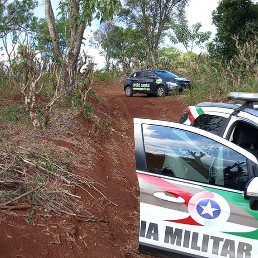 Corpo carbonizado é encontrado no interior de Chapecó