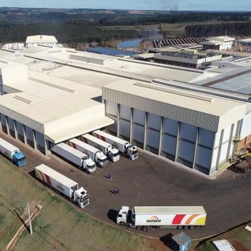 Frigorífico do Oeste de SC diz que manterá emprego de 31 mil funcionários