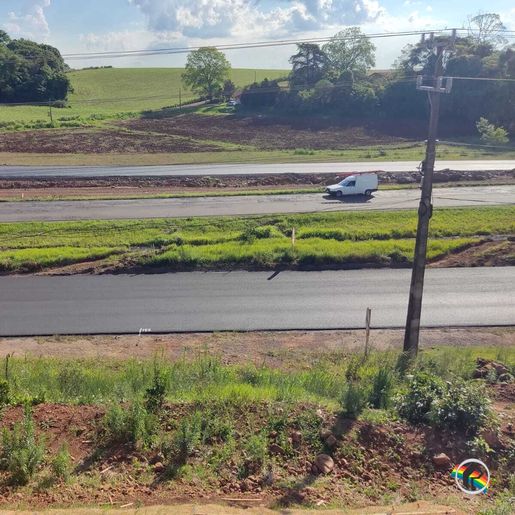 Leo Clube realiza limpeza das vias periféricas da BR-163 em São José do Cedro