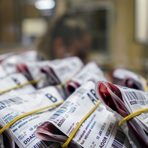 Com aumento na demanda, HEMOSC chama população para repor estoques de sangue