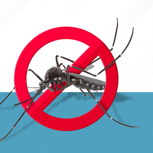 Secretaria de Saúde de Mondaí confirma primeiro caso de dengue no município