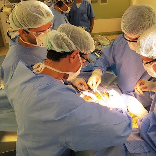 COVID-19: Associação alerta para risco de saúde pública na realização de "mutirões de cirurgias"