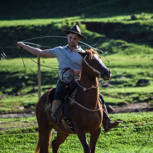 Quinto acampamento farrapo é oficialmente cancelado em SMOeste