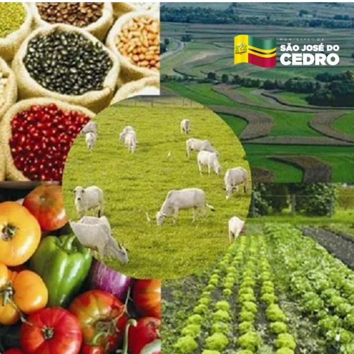 Conselho de Agricultura realiza reunião para elaborar plano de trabalhos para 2022