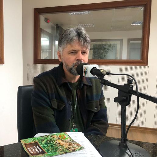 Vazio sanitário da soja e maracujá é o tema do Conectando ao Agro