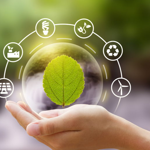 Município avança no projeto para destinação sustentável de resíduos