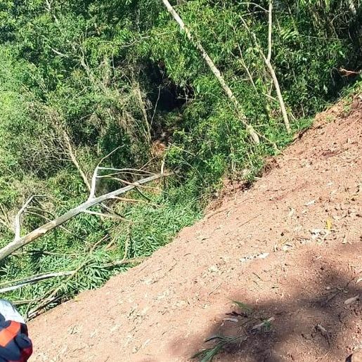 Homem morre após ser atingido por árvore no interior de SMOeste