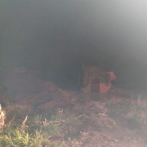 Motorista embriagado é preso após capotar carro na SC-163, em Descanso