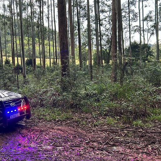 Homem é preso por posse ilegal de arma de fogo em Riqueza