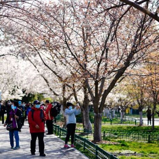 Número de pessoas curadas do coronavírus passa de 200 mil