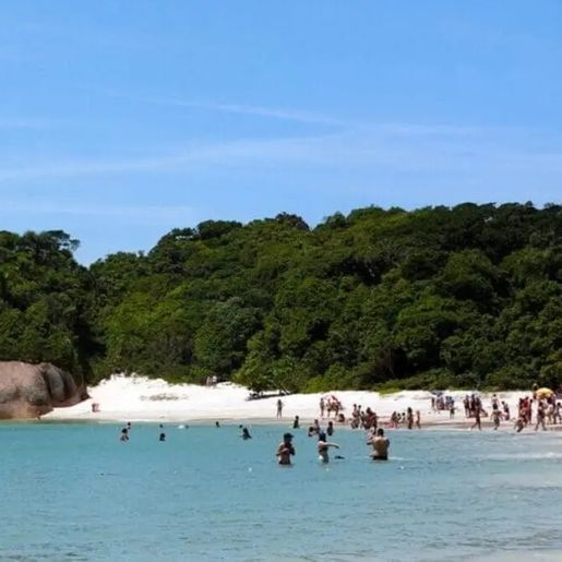 Relatório aponta que 35% das praias de SC estão impróprias para banho