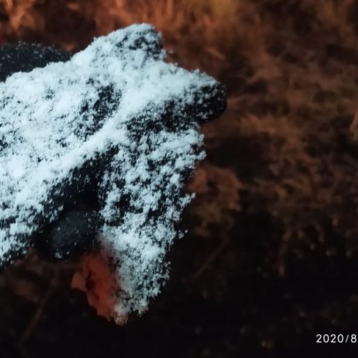 NEVE EM SC: Serra tem o primeiro registro do fenômeno em 2020