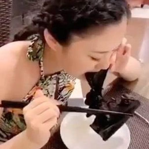 Estudo aponta que mutação em morcego fez vírus passar a humanos