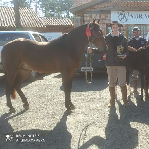 Grupo da região participa da Exposição Nacional do Cavalo Campeiro
