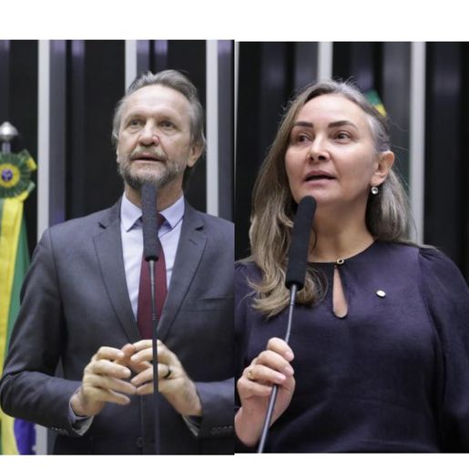 SC pode ganhar 4 novas vagas na Câmara, mas deputados divergem sobre ampliação de parlamentares