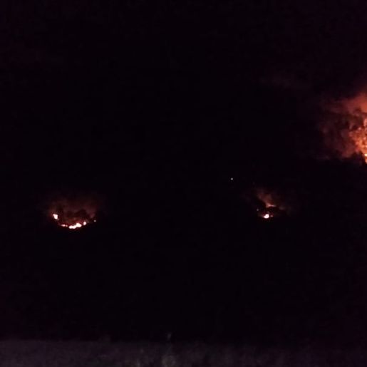 Bombeiros combatem mais um incêndio em mata por mais de 11 horas