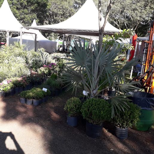 Itaipu Rural Show começa com muitas novidades