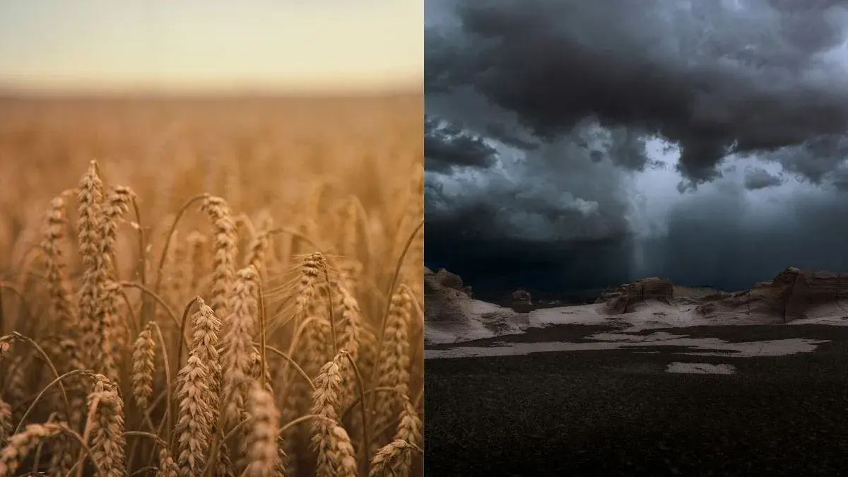 El Niño pode elevar preços de alimentos em SC nos próximos meses