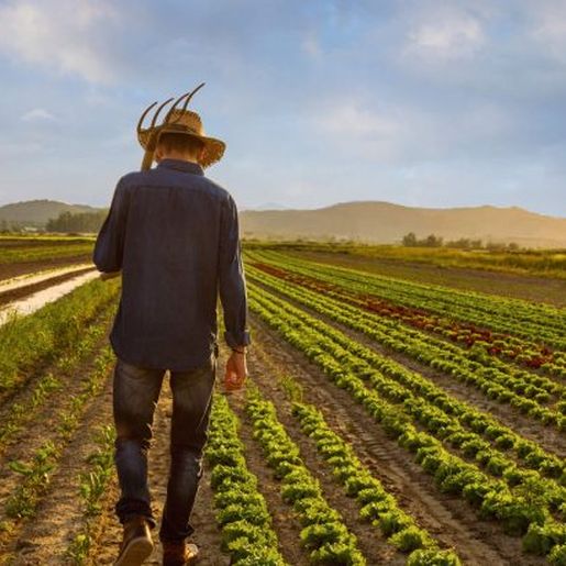 SMO: Secretaria de Agricultura informa alterações no atendimento