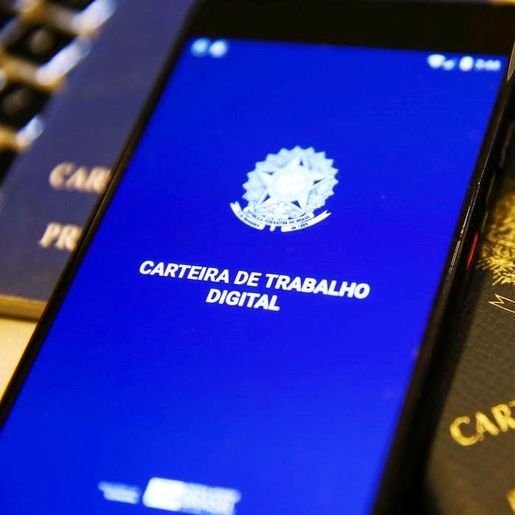 São José do Cedro registra saldo positivo de novas vagas formais em maio