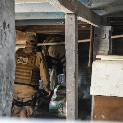 SMO: PM faz buscas em casa de homem suspeito de atirar em cachorro