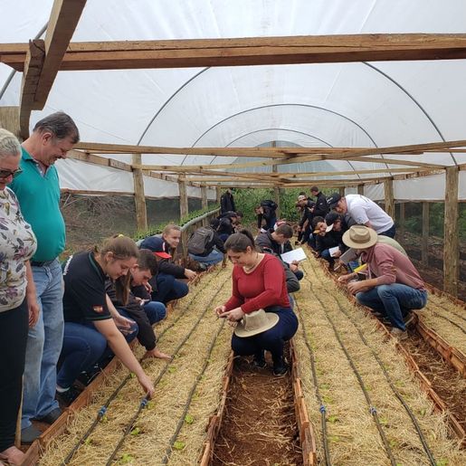 Projeto sobre o cultivo de alface é apresentado em propriedade rural de Mondaí