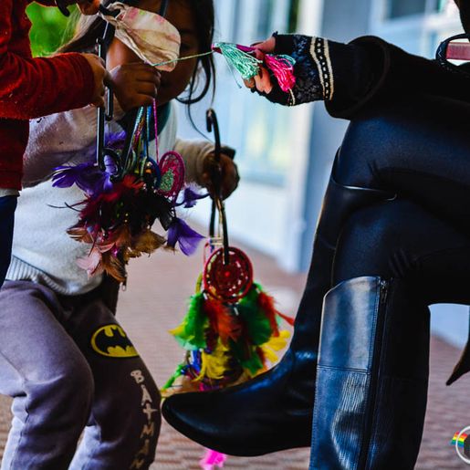 Censo aponta crescimento de quase 20% da população indígena em SC