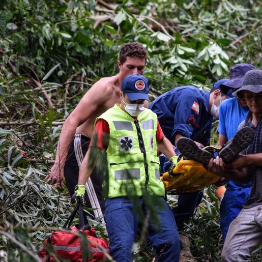 VÍDEO: Homem atingido por árvore está na UTI do Hospital Regional