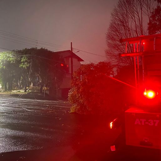 Temporal causa destelhamentos e derruba árvores em São Miguel do Oeste