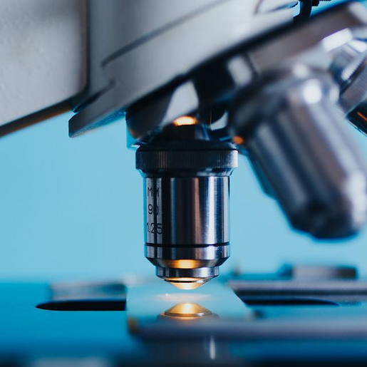 Antiviral tecovirimat será avaliado pela Anvisa para tratar varíola dos macacos