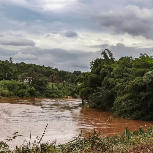 Estudo detecta presença de metais na urina de crianças em Brumadinho