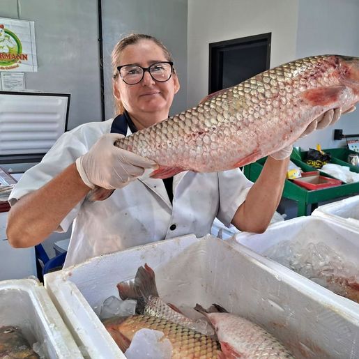 Feira do Peixe acontece nesta quarta e quinta-feira em SMO