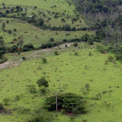 Prazo para declaração do ITR e CCIR termina na próxima semana