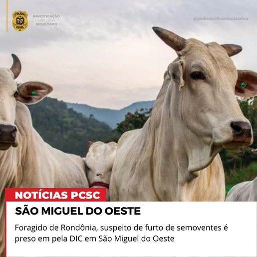 Homem procurado por furto de gado em Rondônia é preso em SMO