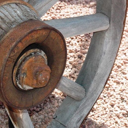 Alesc aprova projeto que proíbe carroças em áreas urbanas de SC