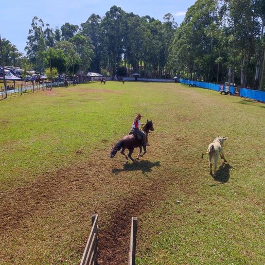 Mais de 30 equipes participam do Rodeio Crioulo em Itapiranga