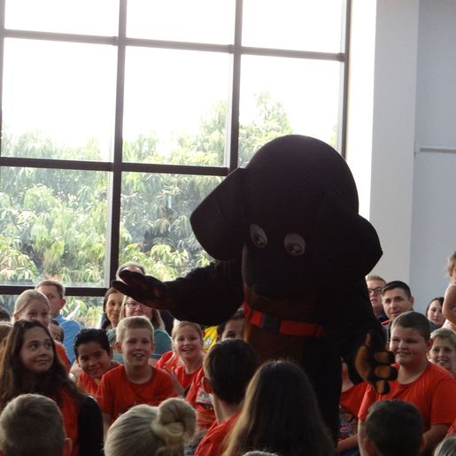Formatura do Bombeiro Mirim reúne 108 alunos em Iporã Do Oeste