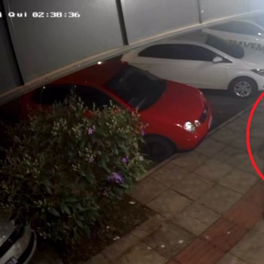 Câmera flagra criminoso furtando mesa no centro de São Miguel do Oeste