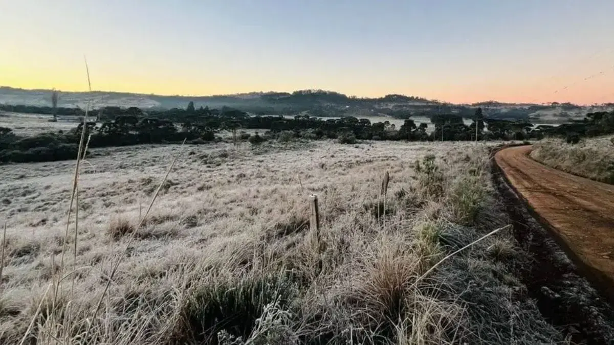 SC deve “congelar” com chegada de massa de ar frio e temperaturas abaixo de 5ºC