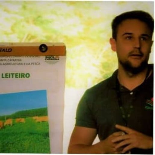 Conectando ao Agro fala sobre alimentação do gado de leite e corte; ouça
