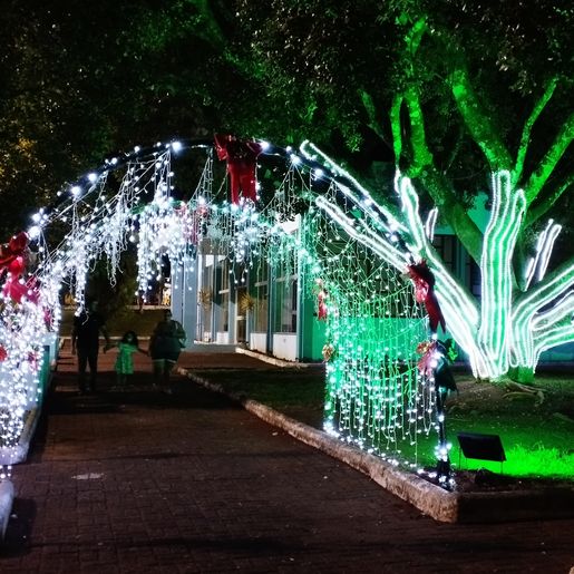 Grande público prestigia abertura da programação natalina em Santa Helena