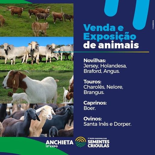 13ª Expo Anchieta deve atrair mais de 12 mil visitantes