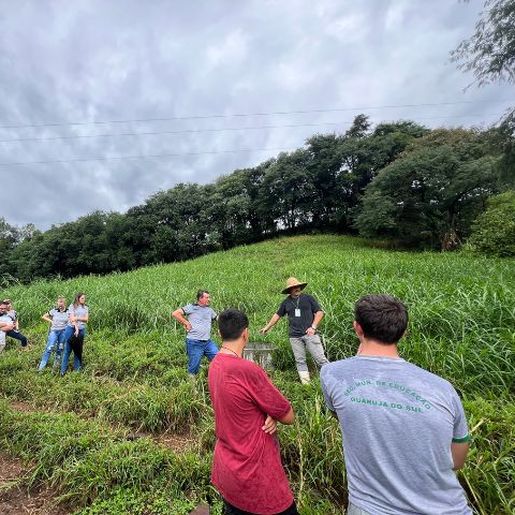 Epagri incentiva produção de leite à base do pasto em Guarujá do Sul