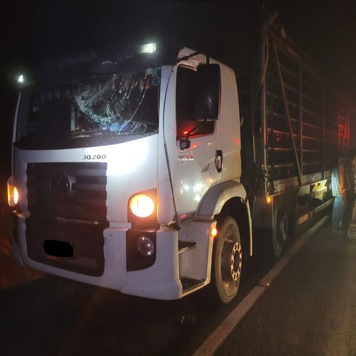 Queda de árvore atinge caminhão e interrompe trânsito na SC 163 em Itapiranga