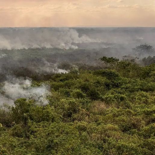 Pantanal poderá ter crise hídrica histórica em 2024, aponta estudo