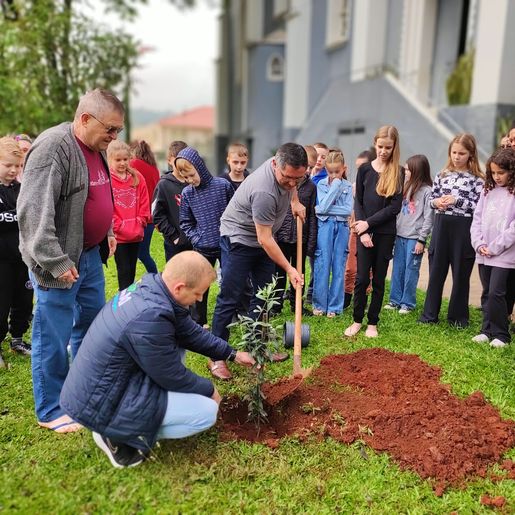 Igreja Católica desenvolve campanha para plantio de árvores