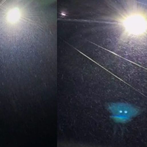 Serra de SC registra chuva congelada e encanta moradores em noite de frio intenso