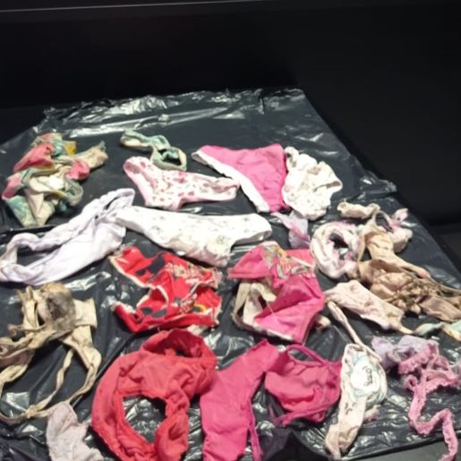 PC encontra calcinhas furtadas ao investigar zoofilia na região