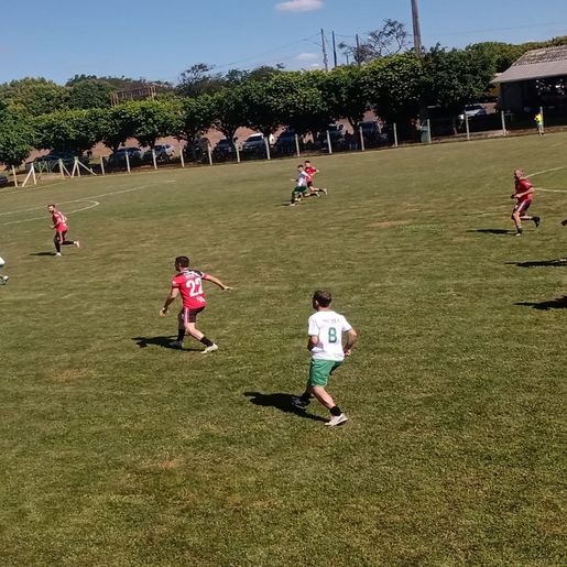 Guarany e Assiblu promovem 22ª Festa da Integração Regional