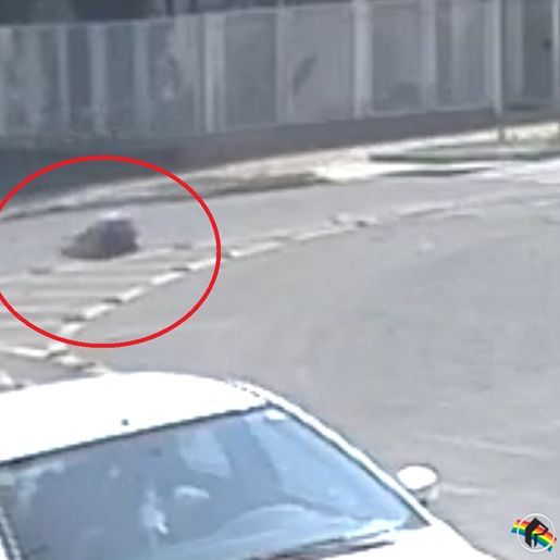 VÍDEO: Câmera registra atropelamento de mulher em São Miguel do Oeste
